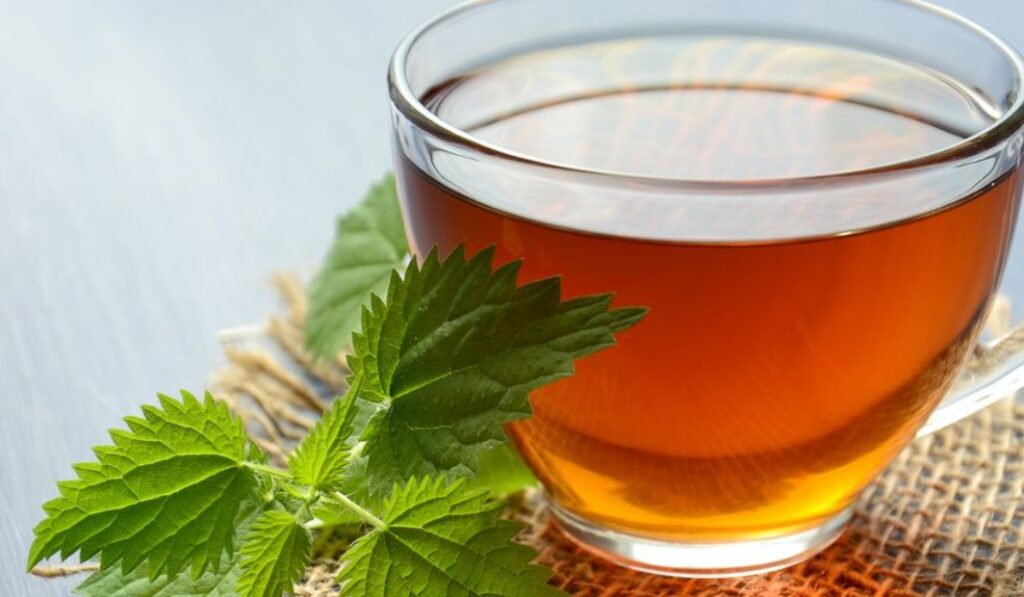 Apa-Itu-Obat-Herbal-untuk-Perut-Kembung-Anak