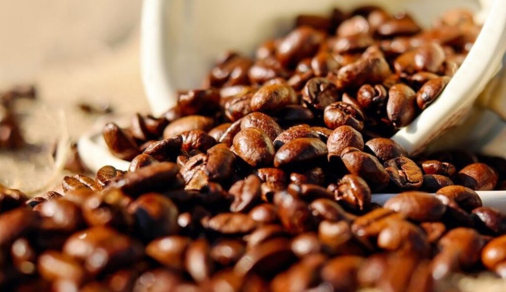 Mengapa-Perlu-Menggunakan-Kopi-Specialty-Premium