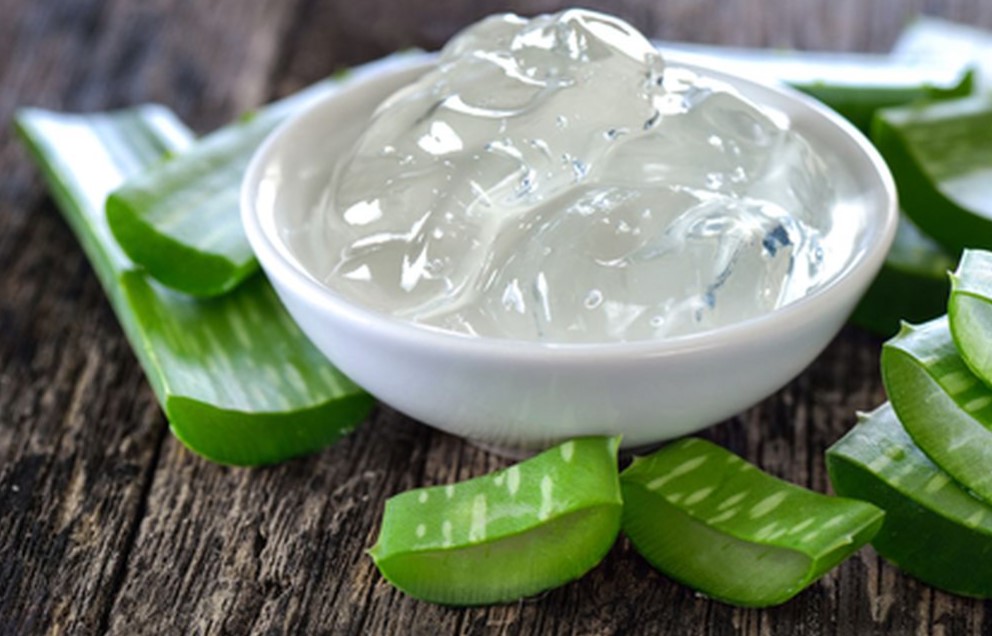 Perbandingan-dan-Cara-Memilih-Produk-Lidah-Buaya