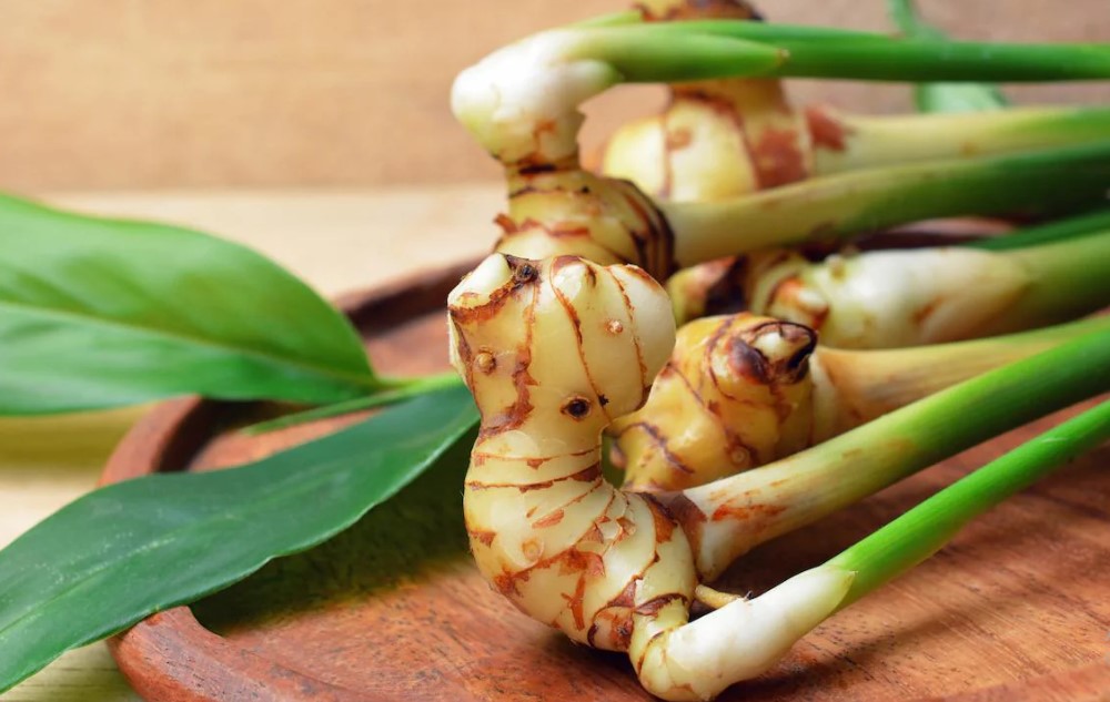 manfaat-lengkuas-untuk-kesehatan