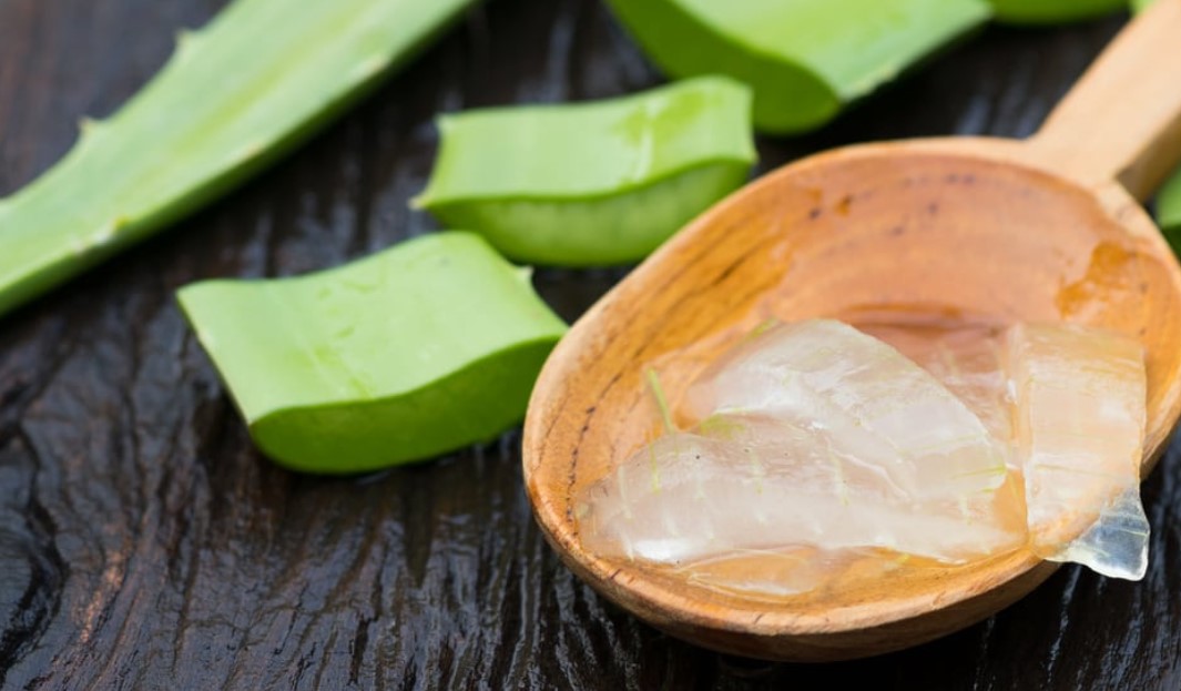 manfaat-lidah-buaya-untuk-kesehatan