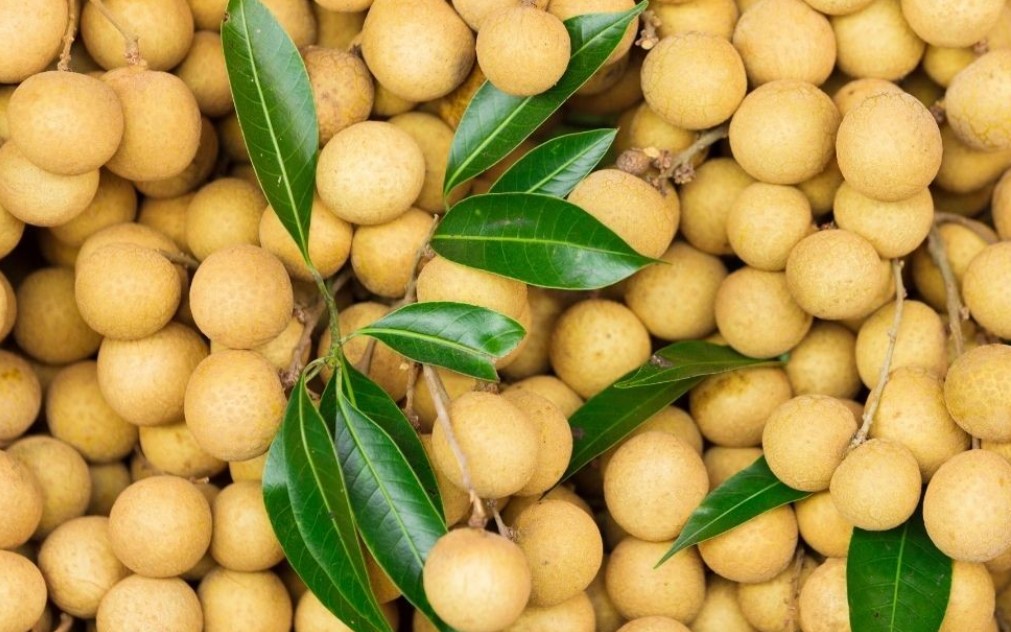 manfaat-makan-buah-kelengkeng